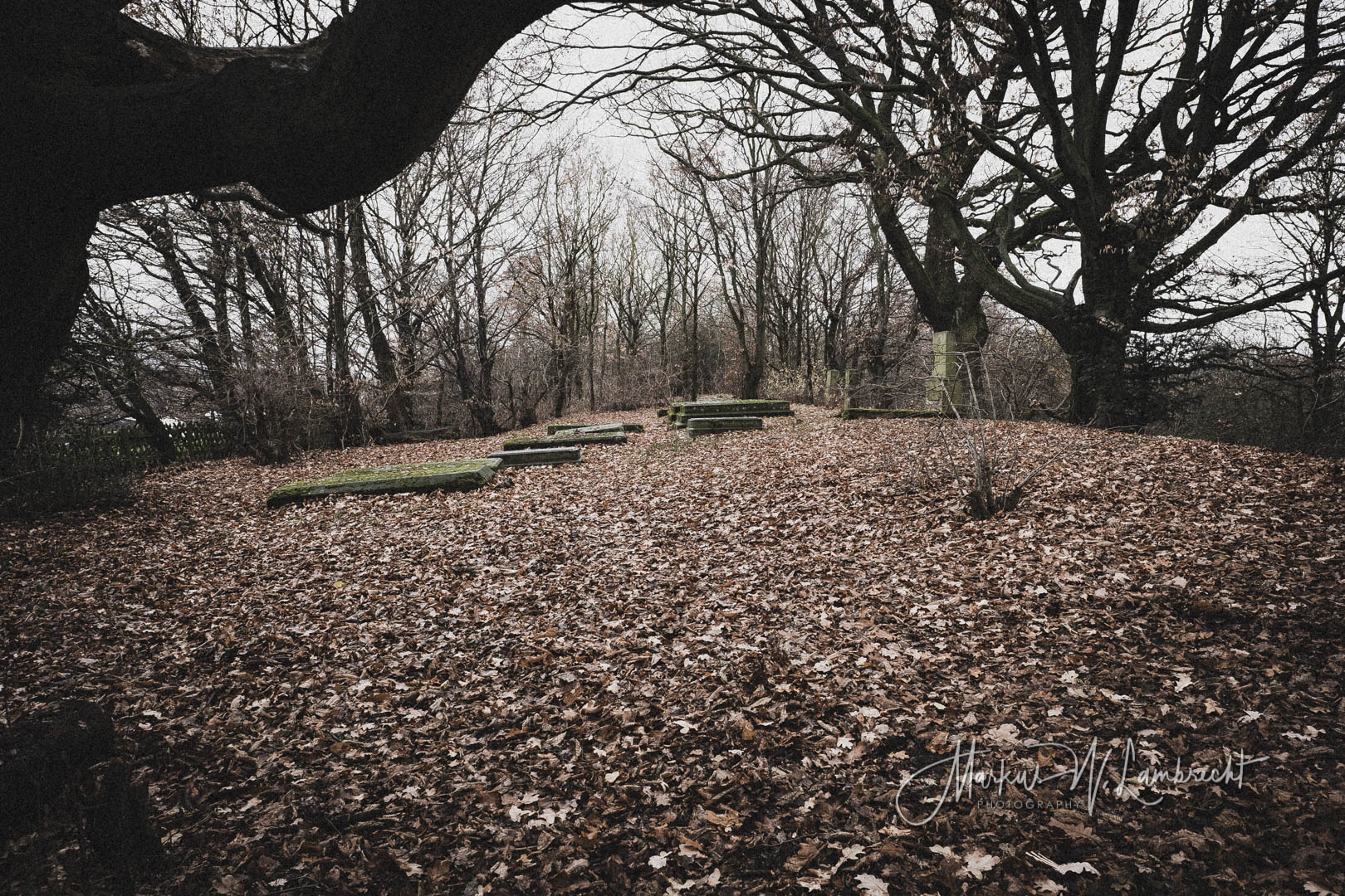 Bovenden, Jüdischer Friedhof
